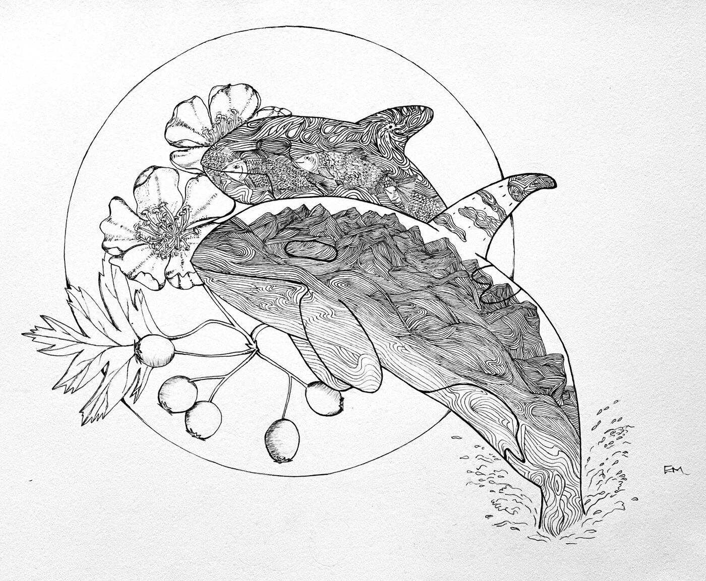 Original ink illustration by Emily McKinley