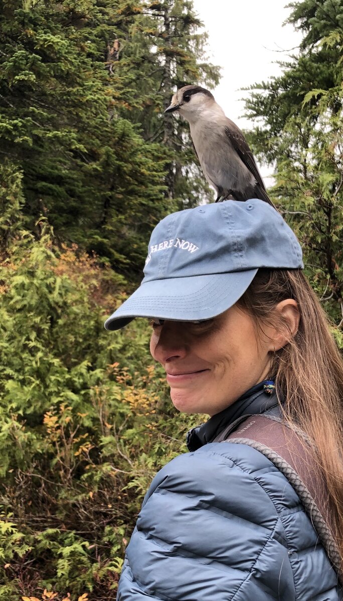 Emily hiking with a gray jay perched on her hat
