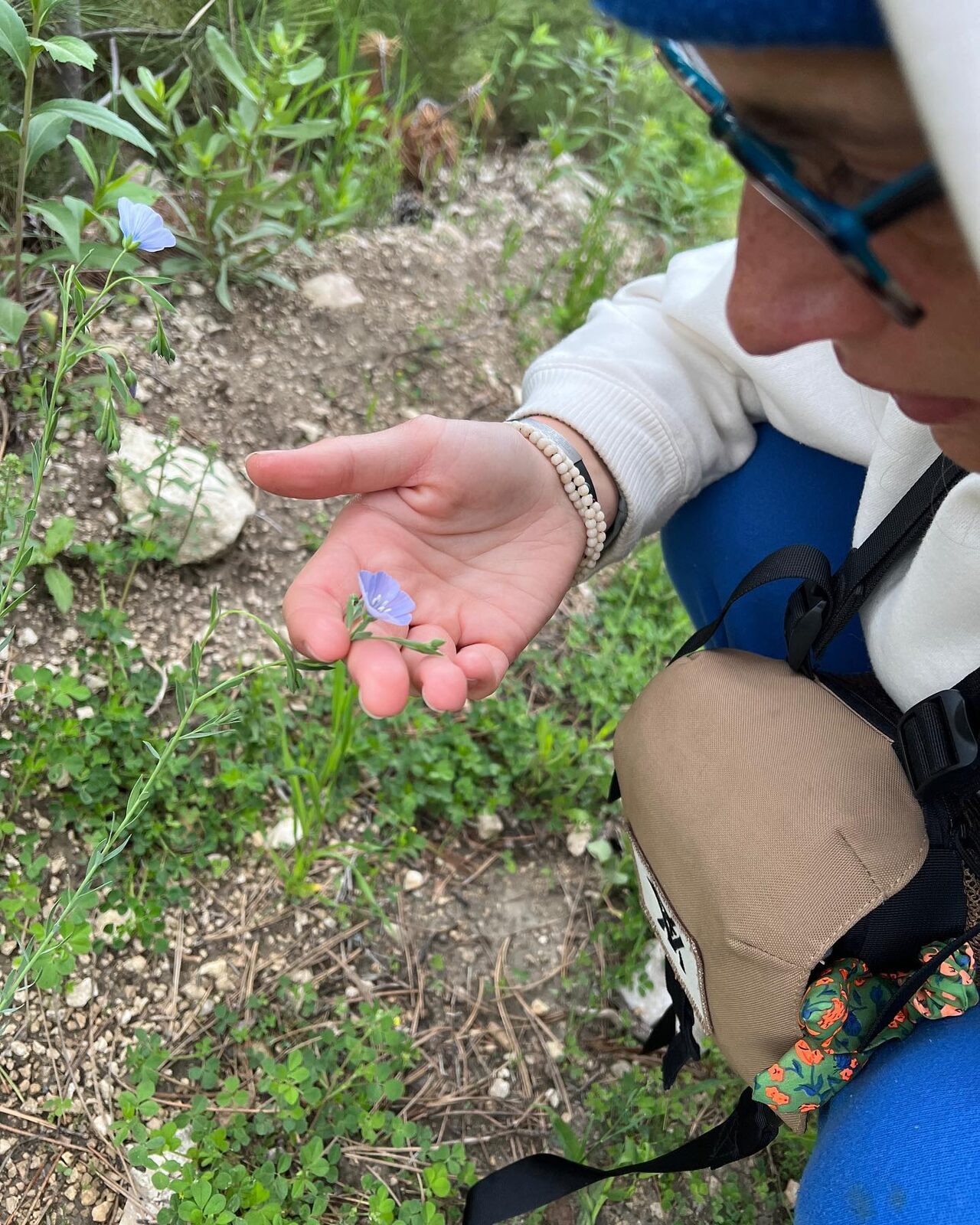 A hand gently holding a small wildflower